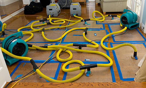 Professional Storm Water Damage Restoration technician working in Williams Bay, WI